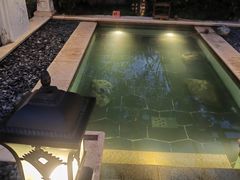 -苏州湾·王焰温泉