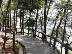 -铁山坪森林公园