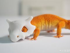 -唯尚主题式KTV(红谷滩店)