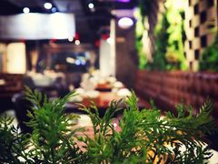 -铁道茶苑.色稷餐厅(莲花南路店)