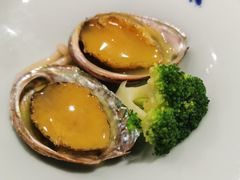 金汁鲍鱼-黑松白鹿(新活馆店)