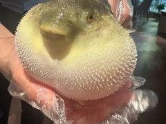 -肆月河豚·淮扬菜·湘菜(华天店)