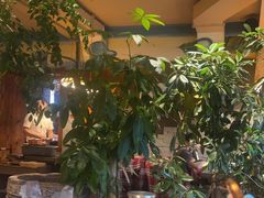 -慢丽江·云南野生菌土鸡锅(付家庄店)