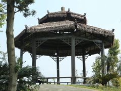 -东岳体育公园