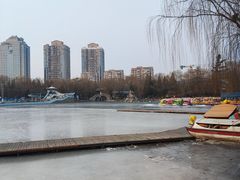 -团结湖公园