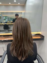 -YESIDO椰岛造型