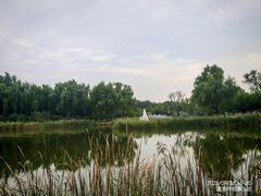 -永定河休闲森林公园