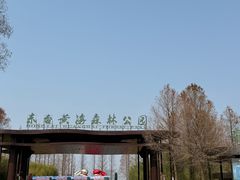 -黄海国家森林公园