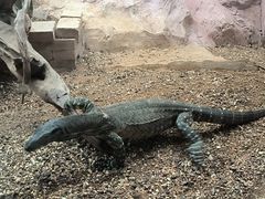 -昆明动物园