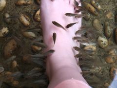 -融汇温泉