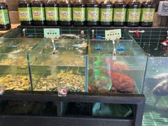 -黄山老妈·土菜(碧桂园店)