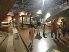 -武汉园博园(武汉自然博物馆)