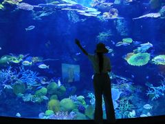 -暹罗海洋世界