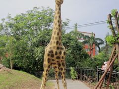 -泉州海丝野生动物世界