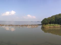 -吴淞炮台湾湿地森林公园烧烤区