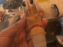 -斯普汇生蚝牛排馆(中骏世界城店)