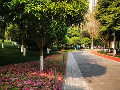 -龙头寺公园