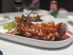 松鼠桂鱼-松鹤楼(狮山永利广场店)
