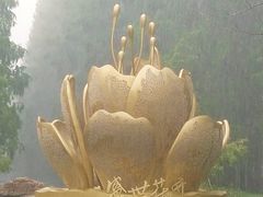 -东平国家森林公园