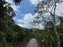 -野象谷景区