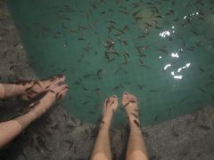 -维斯特假日酒店温泉