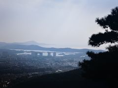 -惠山国家森林公园