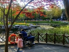 -青岛海滨风景区