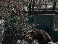 -成都动物园