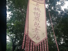 -老槐树煎包
