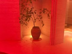 -舒小悦·舒养SPA·古法推拿(光环中心店)