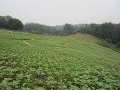 -保利石象湖景区
