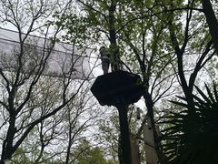 -WeLope紫金山探险公园