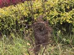 -南宁花花大世界景区