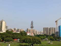 -红花山公园