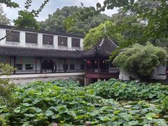-上海醉白池公园