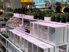 -KKV(深圳宏发大仟里店)