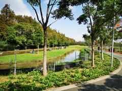 -上海长兴岛郊野公园