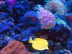 -成都浩海立方海洋公园