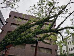 -香港大学