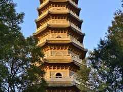 -灵谷景区
