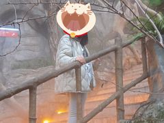 -巴倒烫陆派火锅山庄(南山总店)