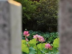 -成都市文化公园