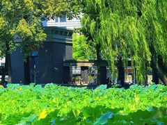 -四川大学(望江校区)