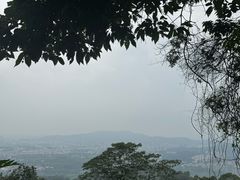 -火炉山森林公园