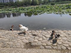 -太阳宫公园
