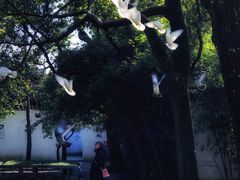 -西园戒幢律寺