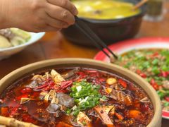 -青城甲(青城山店)