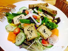 -Meal Salad米有沙拉(长泰广场店)
