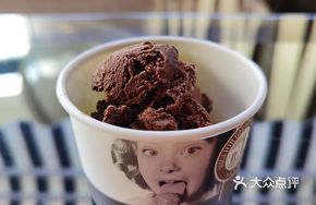 Classic Dark Chocolate Ice Cream