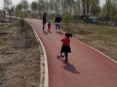 -丁香湖公园